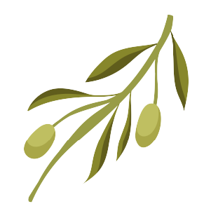 green_olvie_branch-02.png