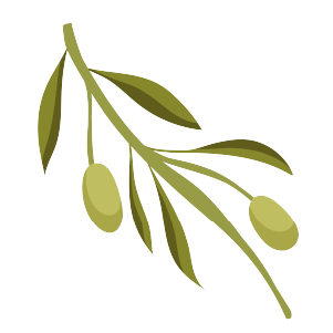 green_olvie_branch-01.png