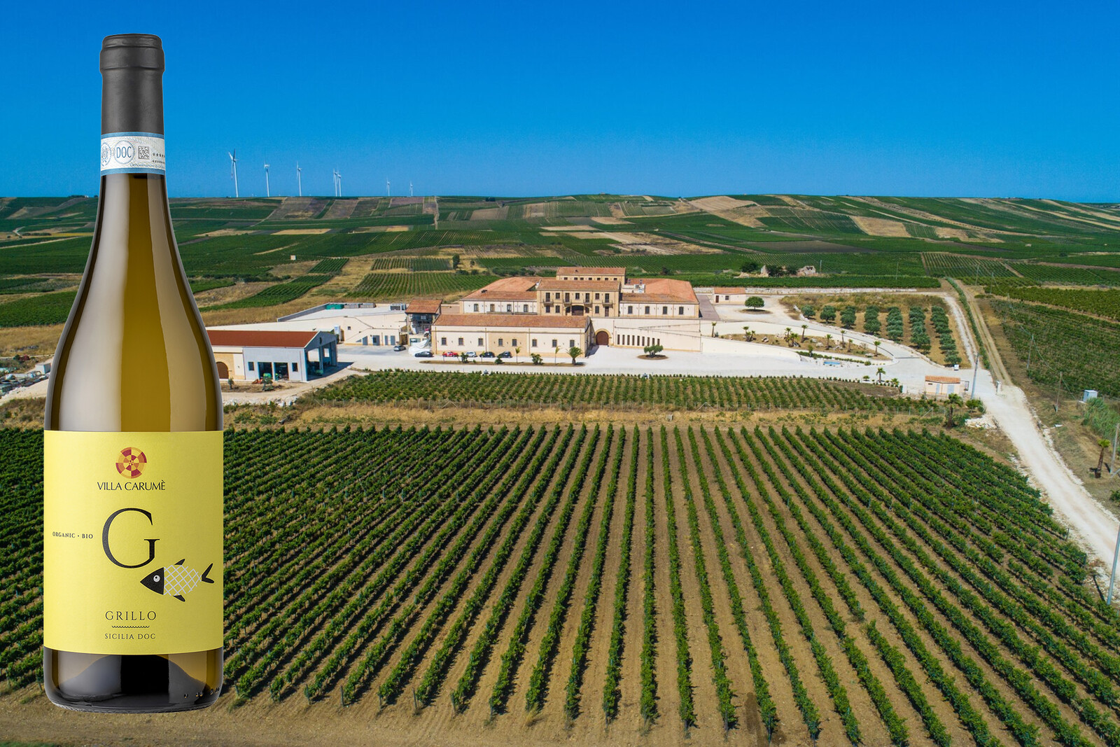 villa_carume_fields_comp.png