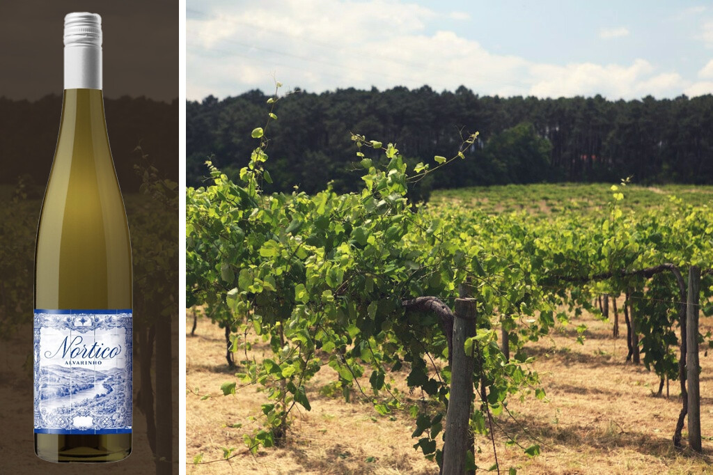 Nortico bottle and vineyard