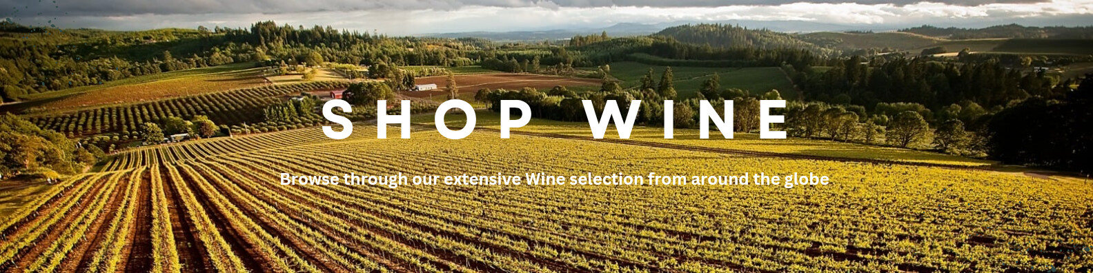 Shop Wine