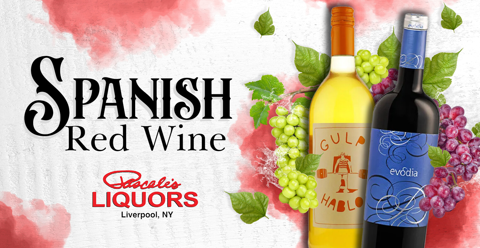 Trip Guide: Spanish Wine Country | Pascale’s Liquors in Liverpool, NY