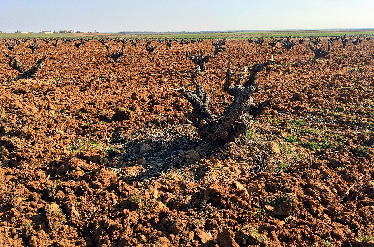 Toro-red-clay-soils.jpg