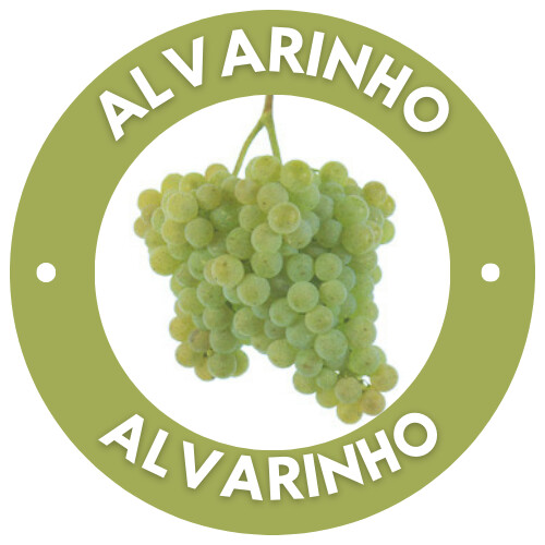 VINHO_VERDE_(16).png