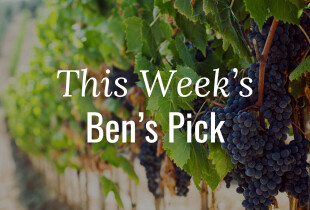 Ben's_Pick.png