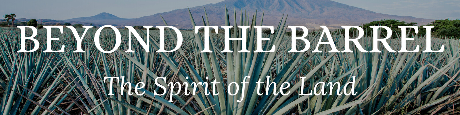 BTB_123_Tequila.png