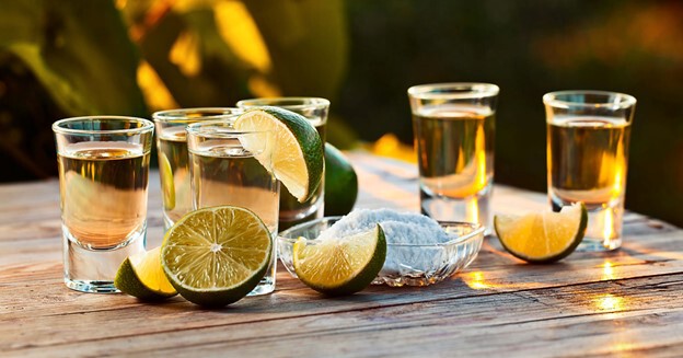 Tequila And The Blue Agave