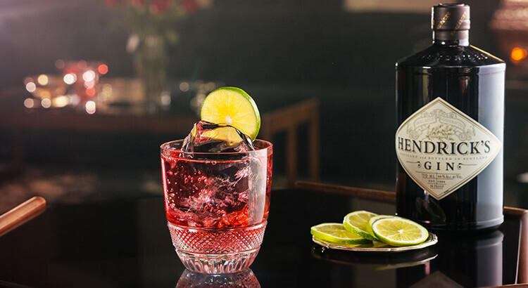 Hendrick's Cranberry Fizz Recipe