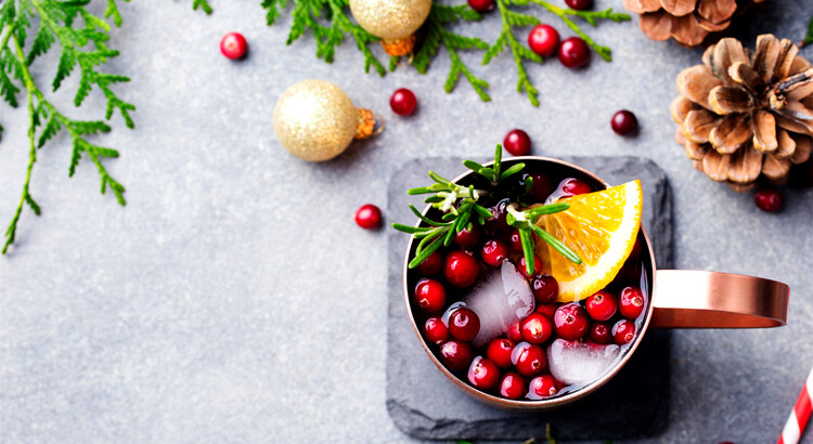 Cranberry Moscow Mule Recipe