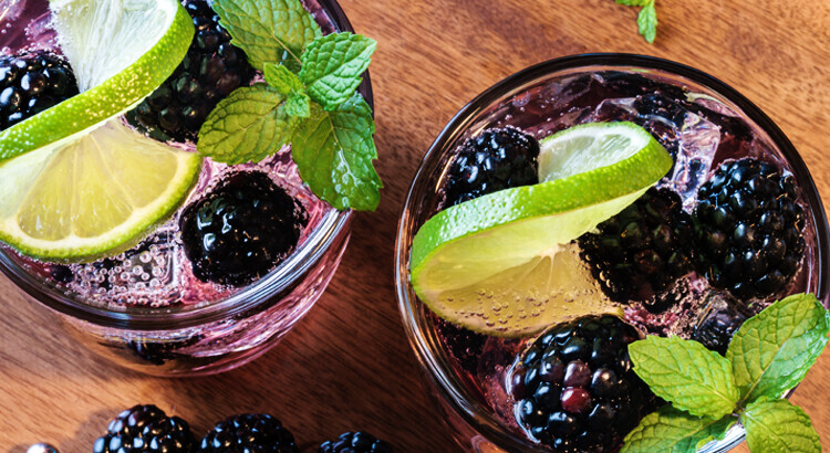 Skinny Malibu Blackberry Coconut Mojito Recipe