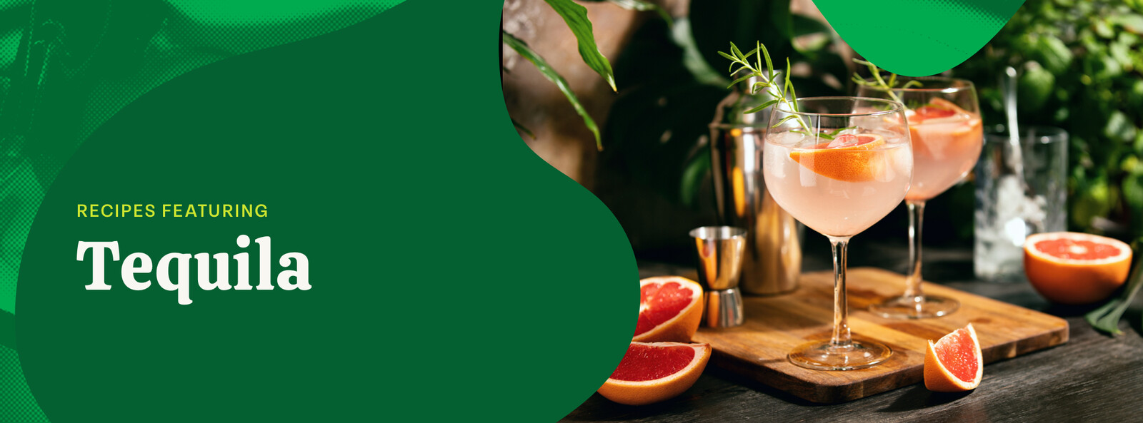 Tequila Recipes