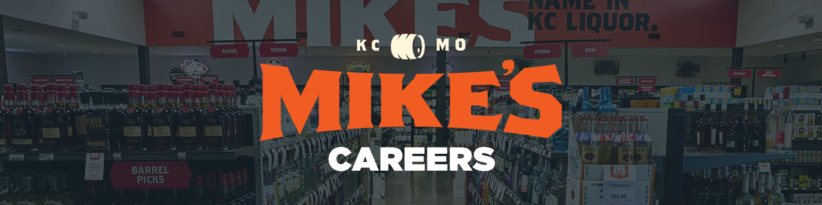 mikes_slide_careers_site.jpg