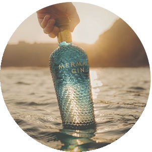 gin-category.png