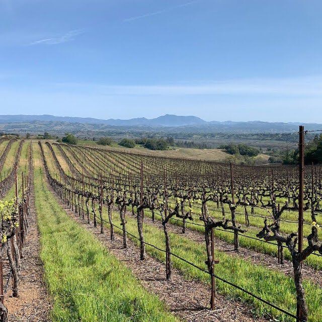 napa-1.jpg