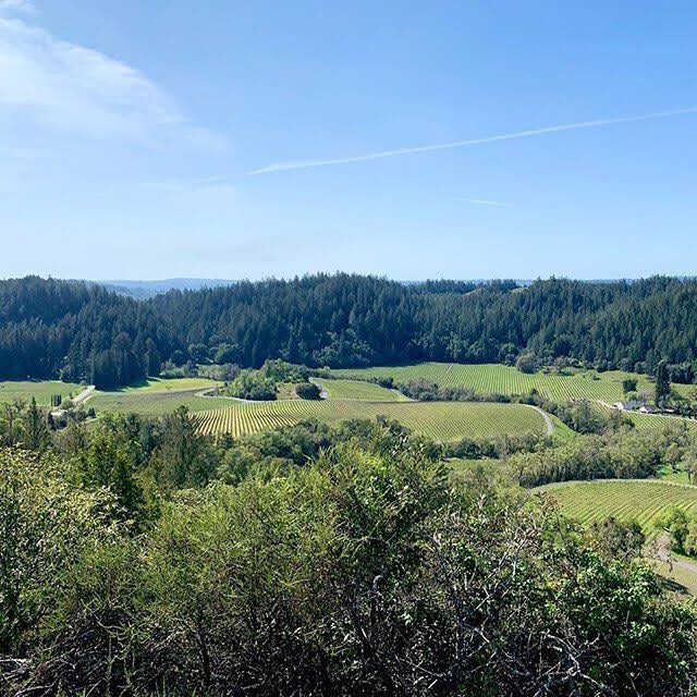 napa-2.jpg