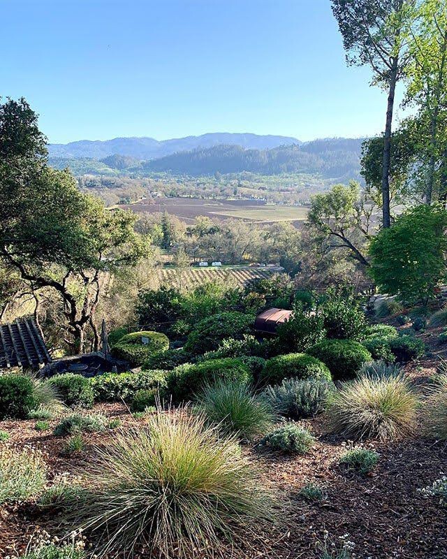 napa-3.jpg