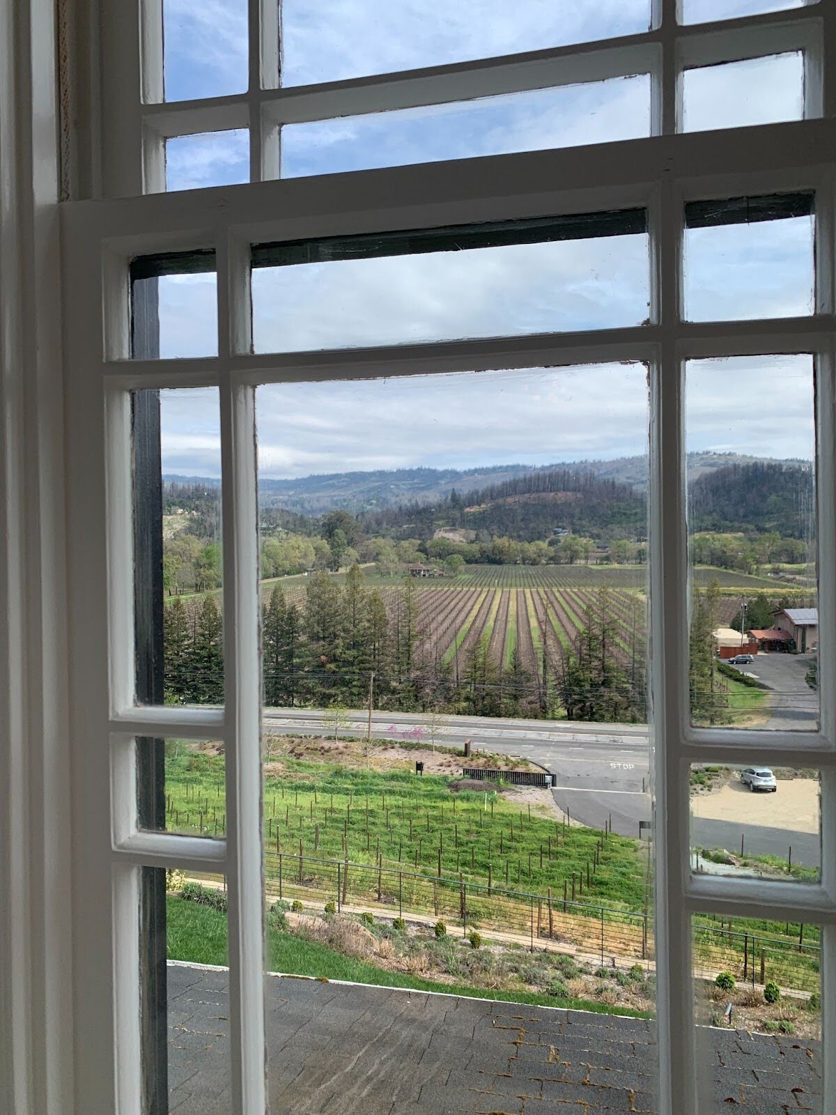 napa_3.jpg