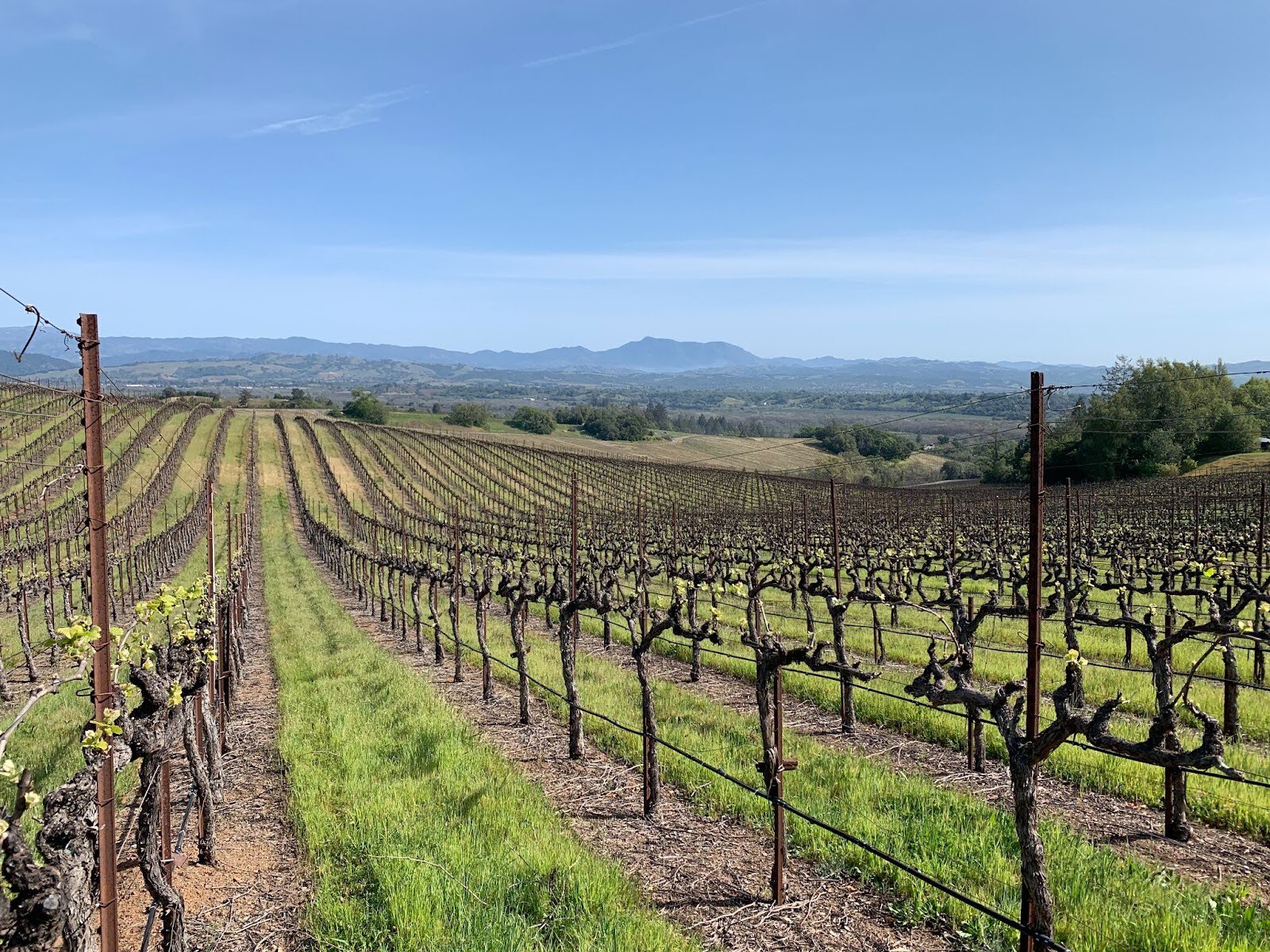 napa_10.jpg