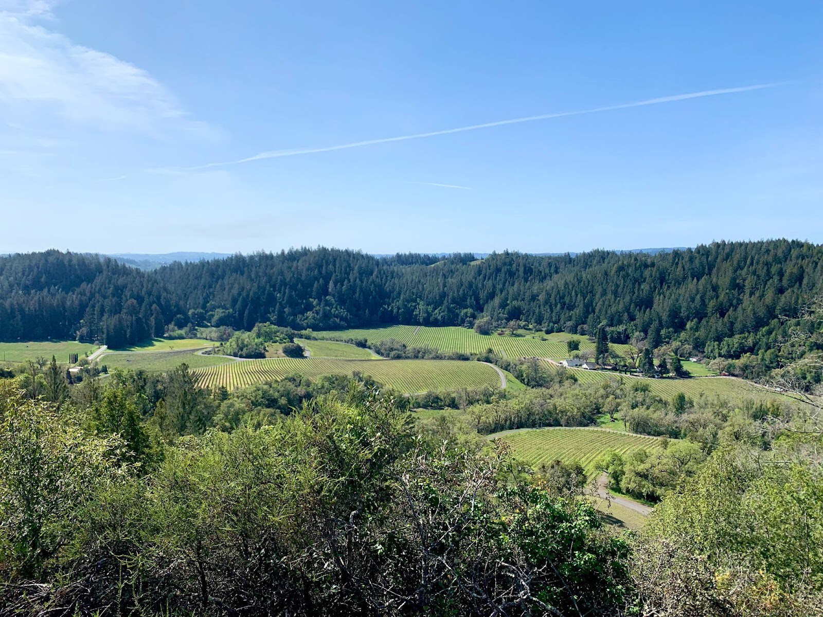 napa_11.jpg