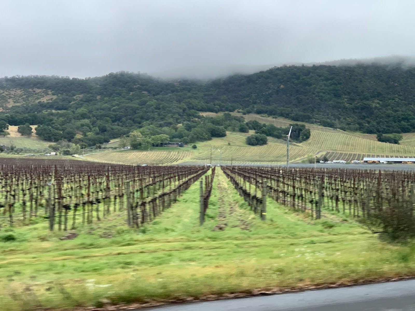 napa_112.jpg