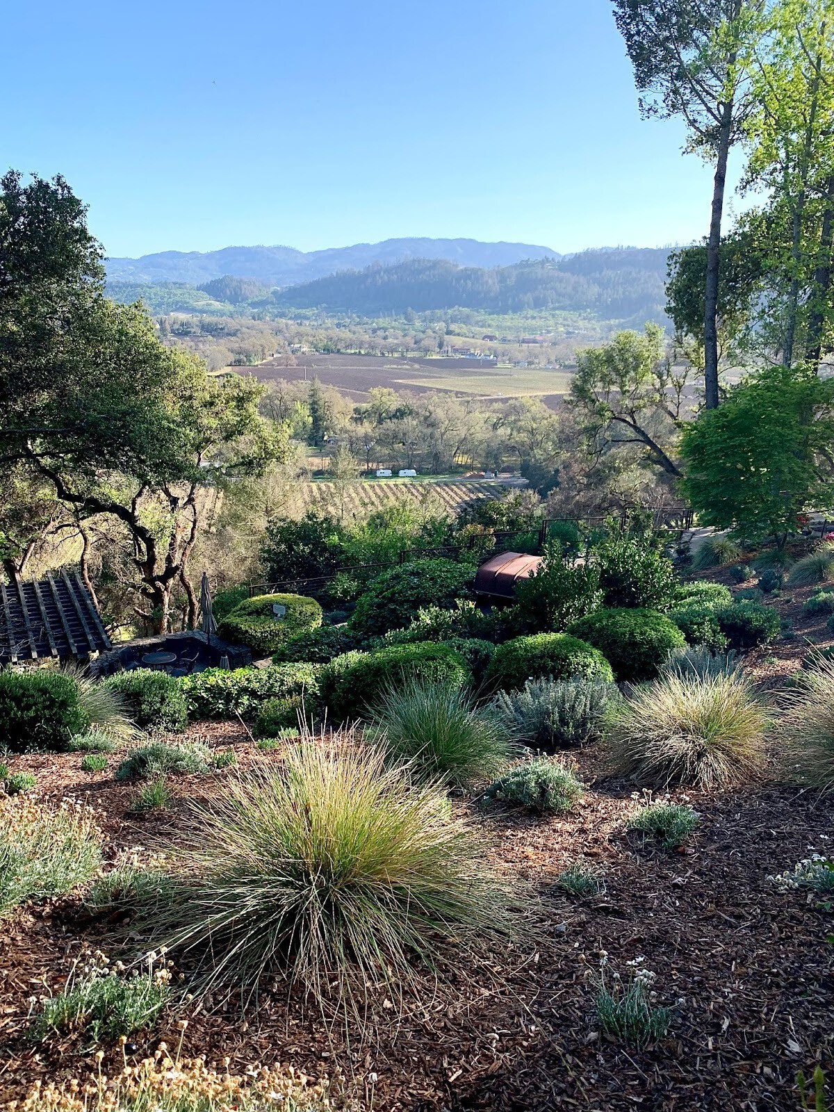 napa_13.jpg