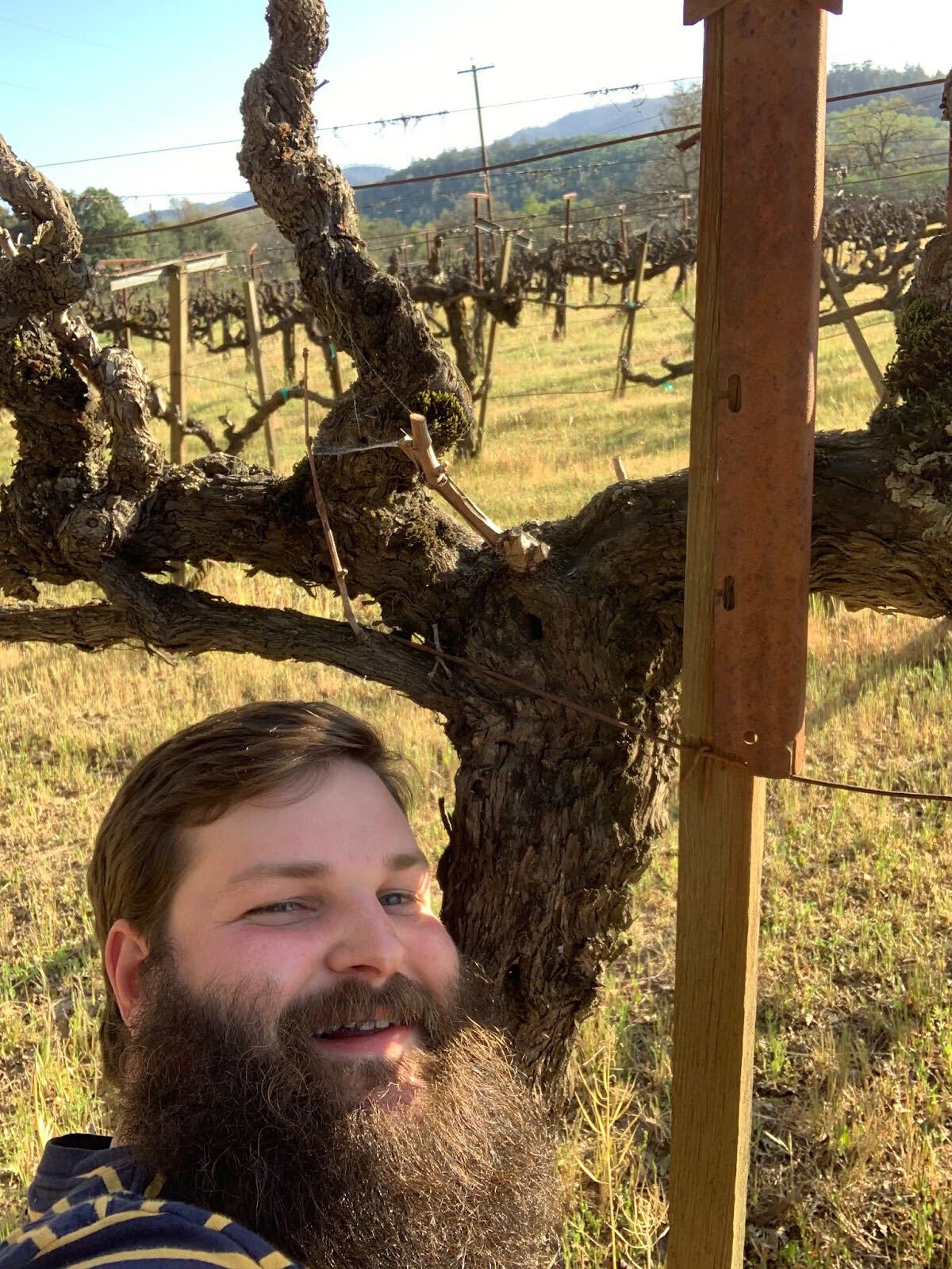 napa_15.jpg