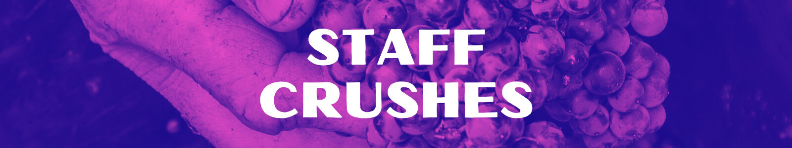 Staff_Crushes_(1600_x_400_px)_(1600_x_300_px).png