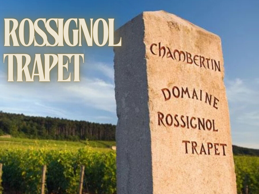 Rossignol_Trapet.png