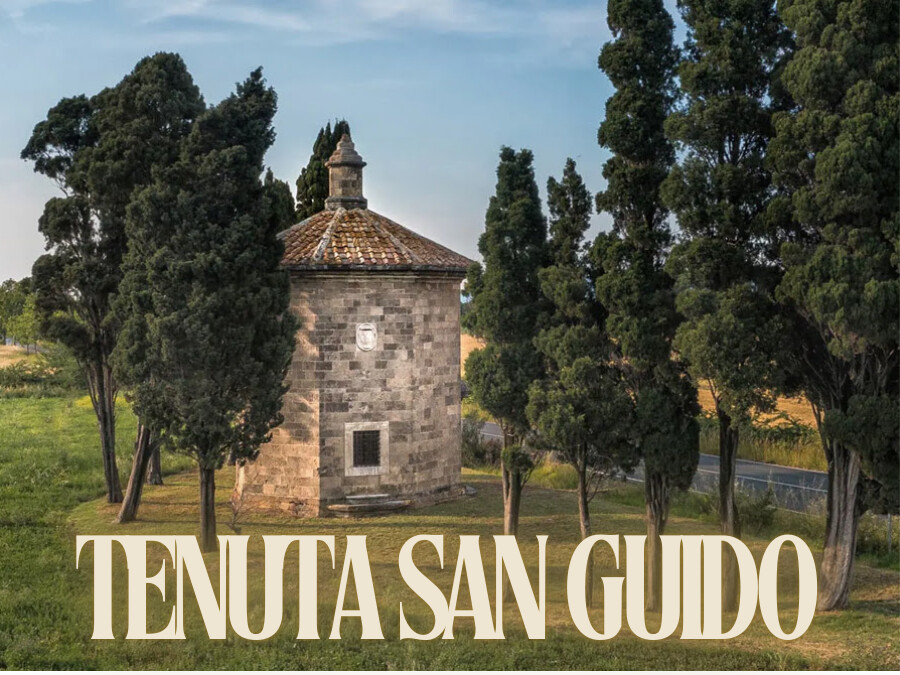 Tenuta San Guido - Sassicaia