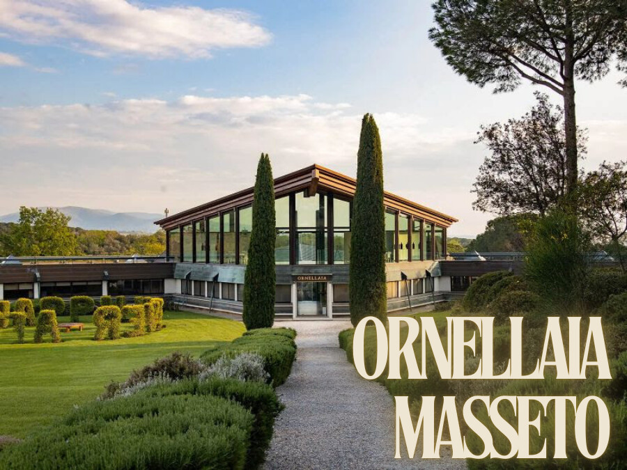 Ornellaia - Masseto