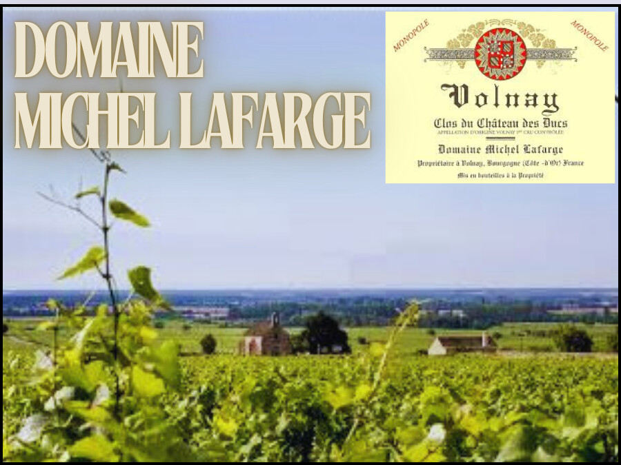 Domaine Michel Lafarge