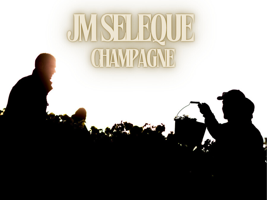 JM Seleque