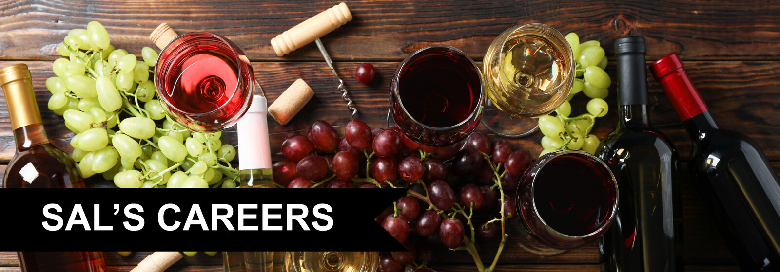 Sal's_Career_Header.jpg