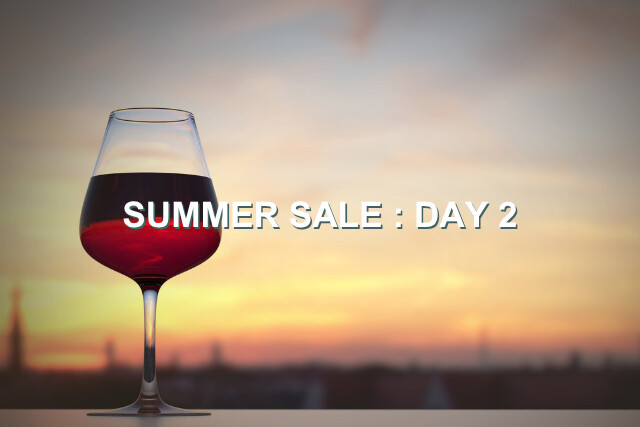 DAY_2__Summer_Sale_(1).png