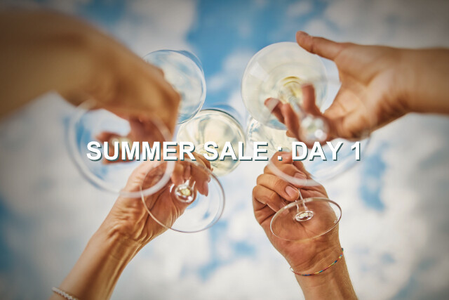 DAY_1__Summer_Sale.png