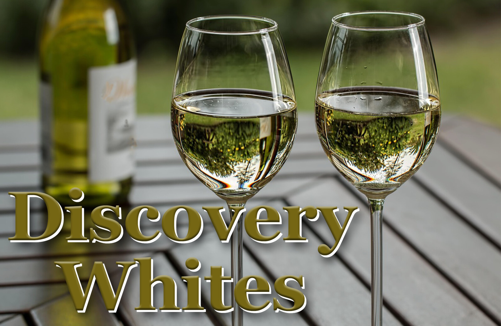 Discovery Whites 2_image