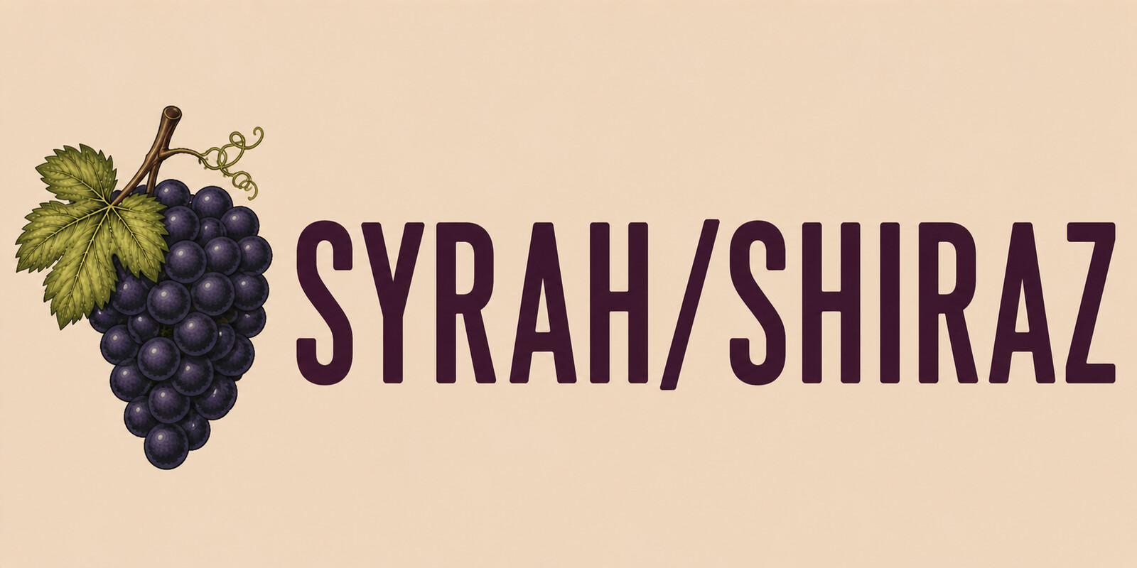 syrah