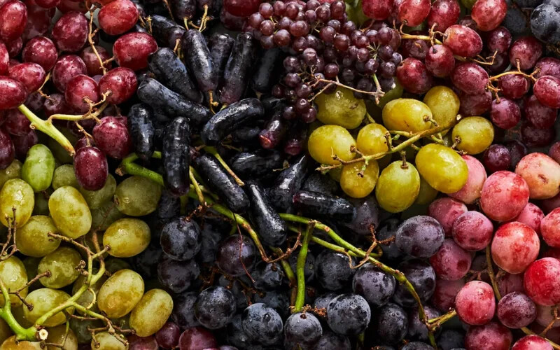 grape_varieties.webp