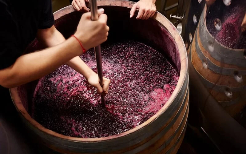 Winemaking.webp