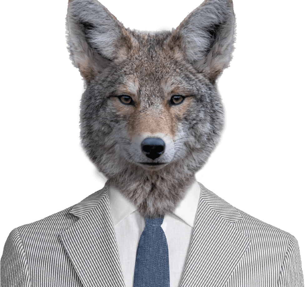 wanderfolk-Image-1.png