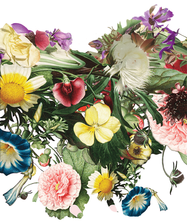 mobile_florals_transition.png