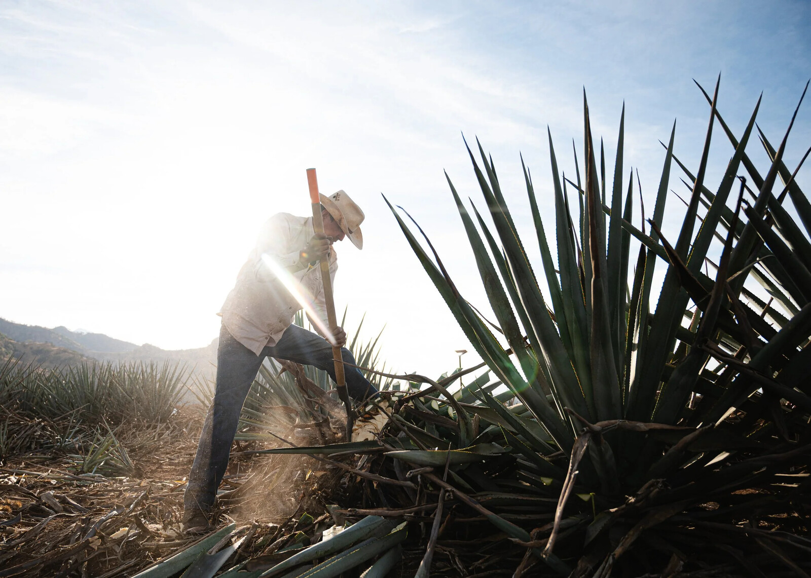 original_grit_tequila-4.jpg