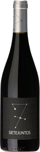 Ismael Gozalo Sietejuntos Merlot