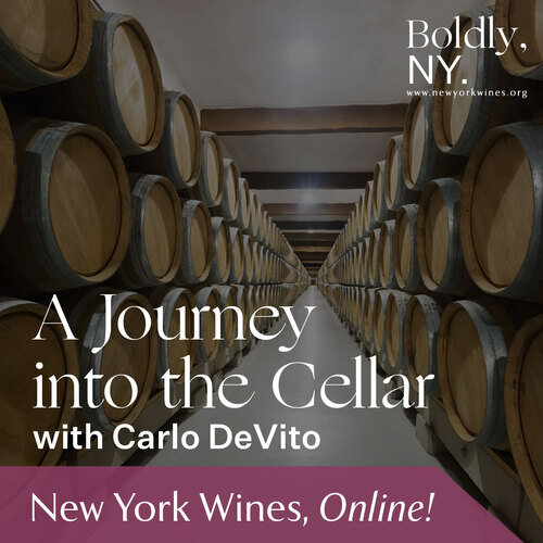 Into The Cellar Seminar 3 Pack