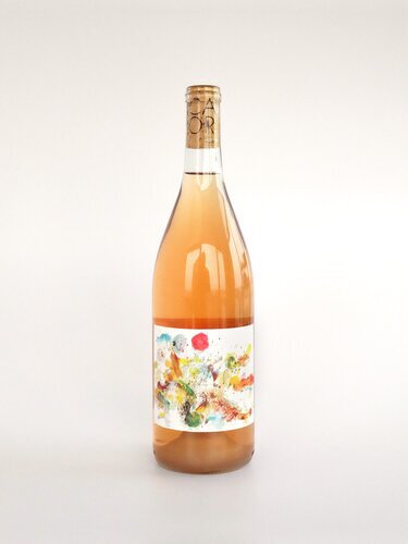 Vinca Minor Carignan Rose 2020