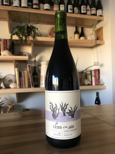 Scar Of The Sea Zinfandel