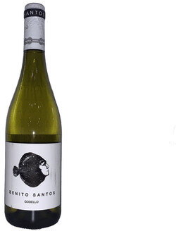 Benito Santos Godello
