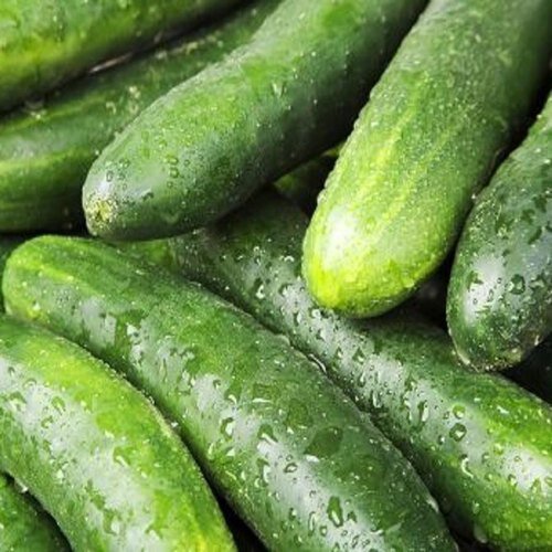 Native Cucumber Each