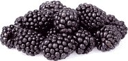 Blackberry Semi Sweet Red