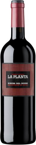 La Planta Ribera Del Duero
